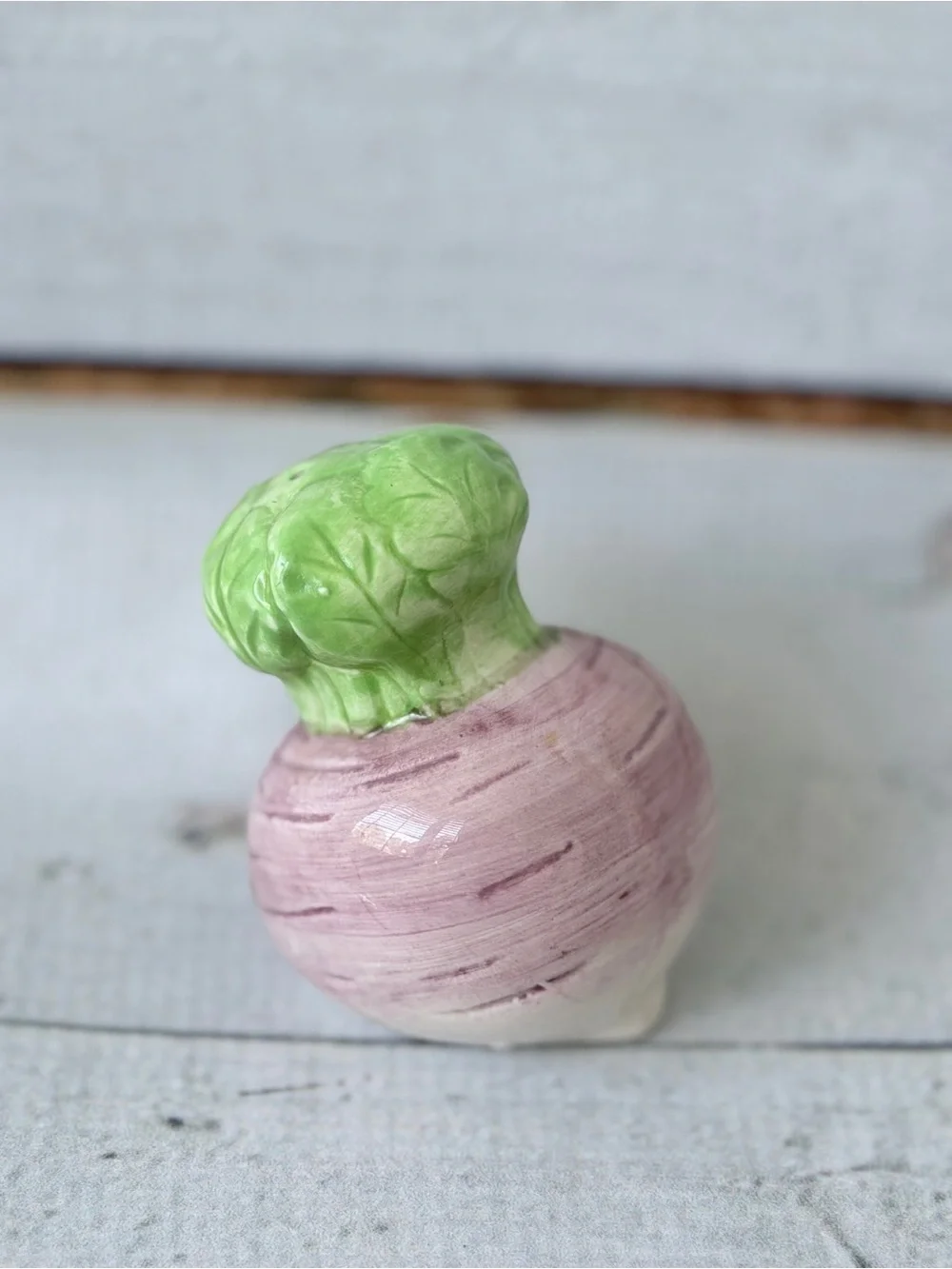 Ceramic Radish Salt and Pepper Shaker Set with Leaf Tray - Pink Green